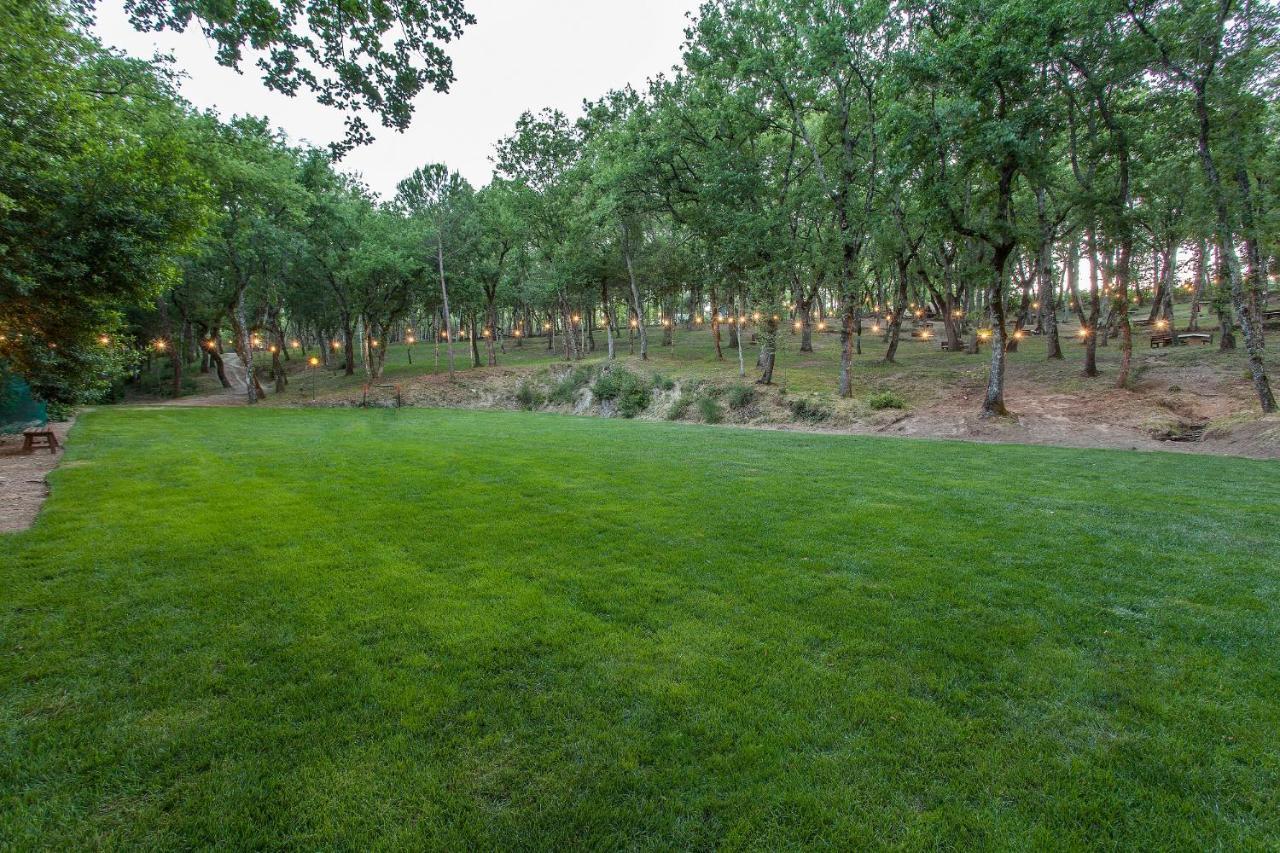 Luxor Chianti Glamping Village คาสเตลลินาอินเคียนติ ภายนอก รูปภาพ