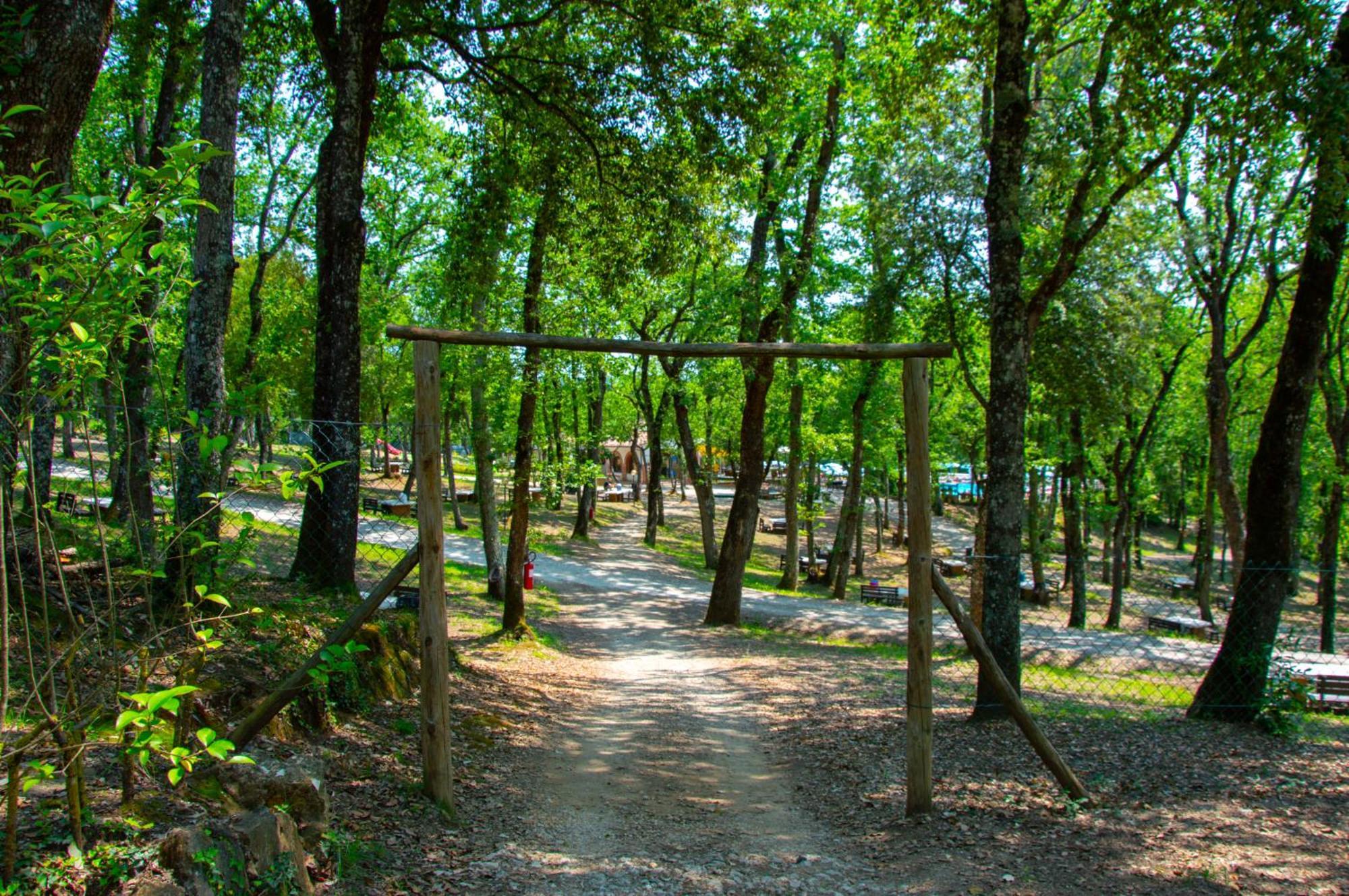 Luxor Chianti Glamping Village คาสเตลลินาอินเคียนติ ภายนอก รูปภาพ